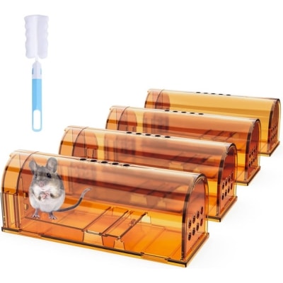 Humane Mouse Traps