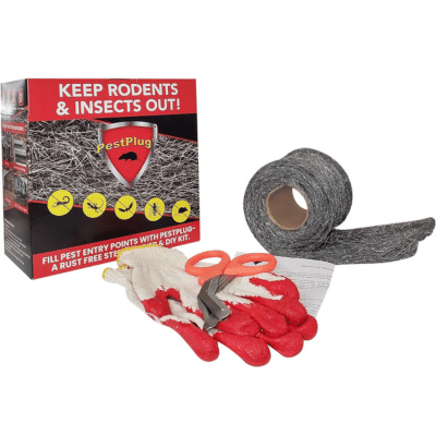 Stainless Steel Wool