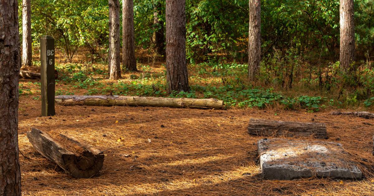 Dispersed Primitive Camping